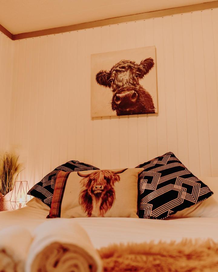 ダヌーン Wooden Cosy Retreat Hunters Quayヴィラ エクステリア 写真